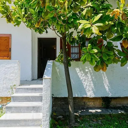 Palm Tree 1-bdrm In Daire *