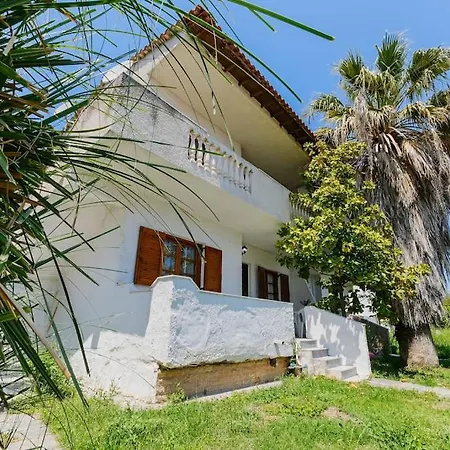 Palm Tree 1-bdrm In 佩科霍里